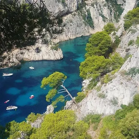 L'oursinade Cassis